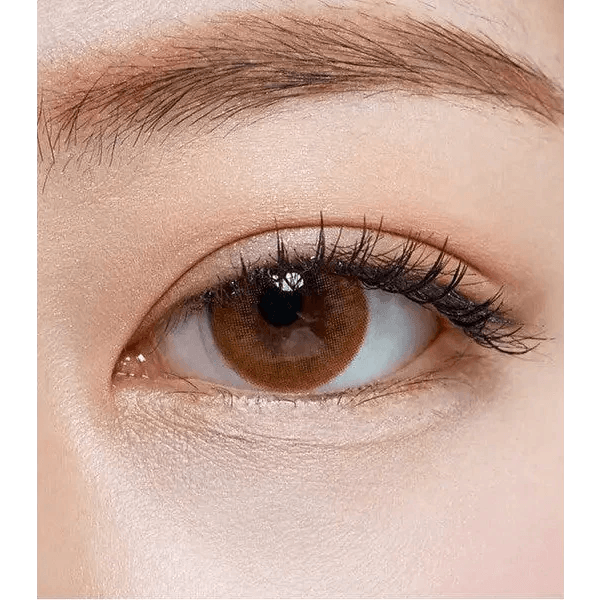 Olens Polla Brown — single-eye close-up showing the contact lens appearance