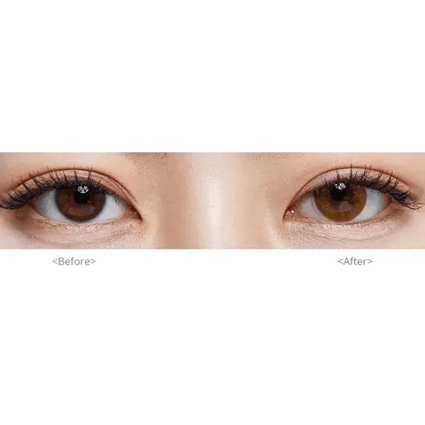Polla Brown 13.3mm Polla Brown 13.3mm