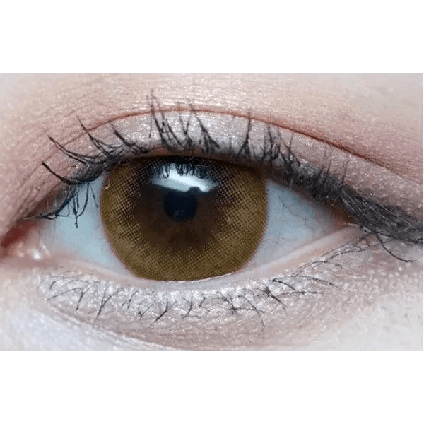 Olens Polla Brown — single-eye close-up showing the contact lens appearance