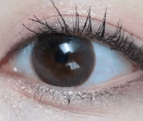 Olens Polla Choco — single-eye close-up showing the contact lens appearance