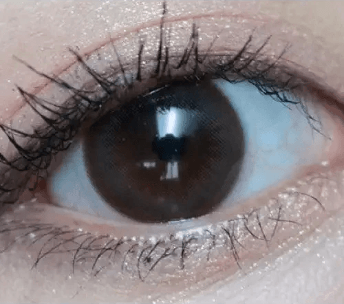 Olens Polla Choco — single-eye close-up showing the contact lens appearance