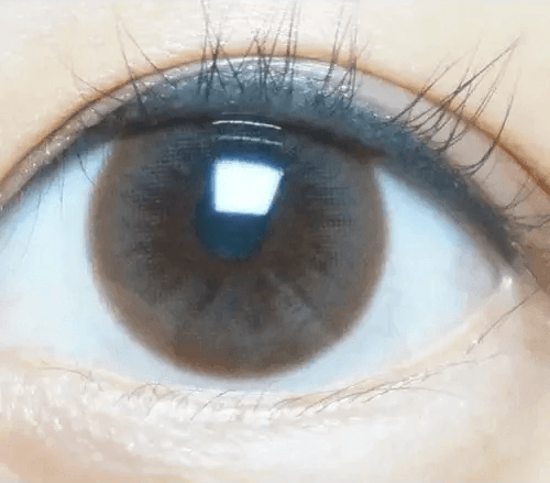 Olens Polla Choco — single-eye close-up showing the contact lens appearance