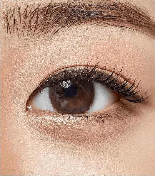 Olens Polla Choco — single-eye close-up showing the contact lens appearance