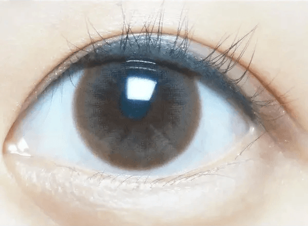 Olens Polla Choco — single-eye close-up showing the contact lens appearance