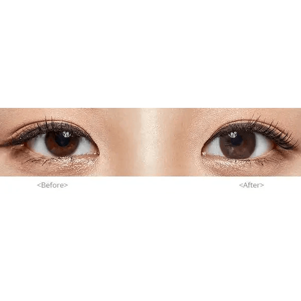Olens Polla Choco colored contact lens, 13.3mm graphic diameter, 3-6 Months wear