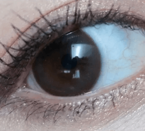 Olens Polla Choco — single-eye close-up showing the contact lens appearance