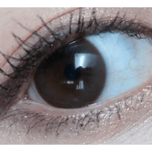 Olens Polla Choco colored contact lens, 13.3mm graphic diameter, 3-6 Months wear