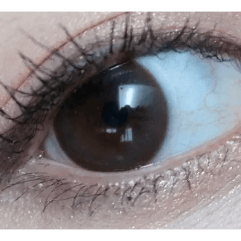 Polla Choco 13.3mm Polla Choco 13.3mm
