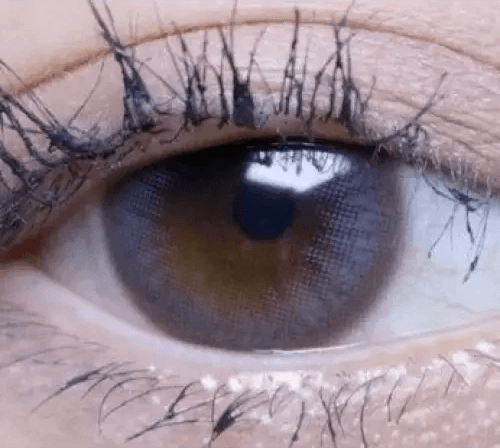 Olens Polla Gray — single-eye close-up showing the contact lens appearance