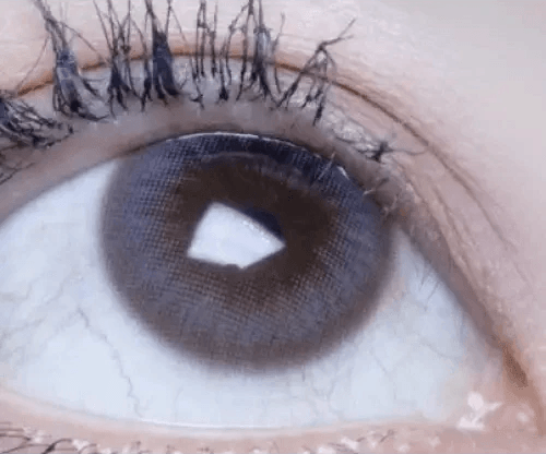 Olens Polla Gray — single-eye close-up showing the contact lens appearance