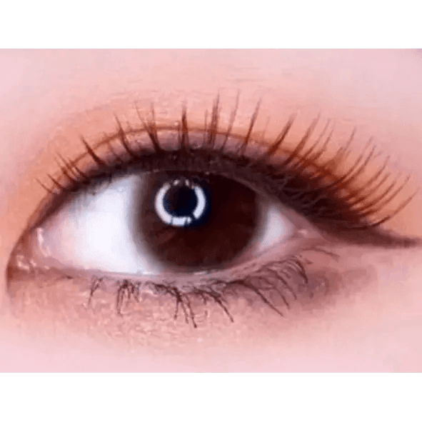 LensTown Precollege Brown — single-eye close-up showing the contact lens appearance