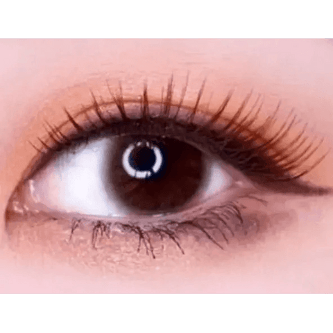 Precollege Brown 13.2mm Precollege Brown 13.2mm