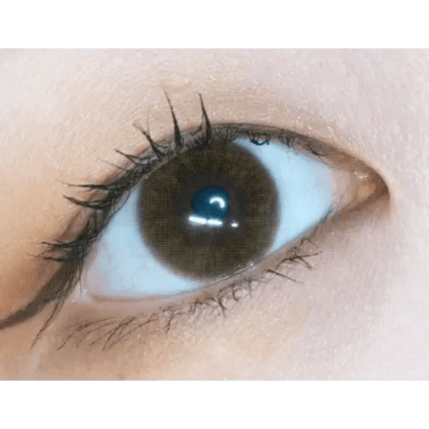 Precollege Brown 13.2mm Precollege Brown 13.2mm