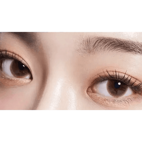 Precollege Brown 13.2mm Precollege Brown 13.2mm