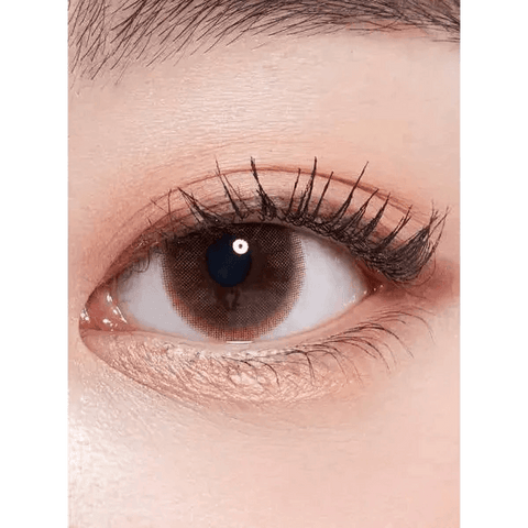 Precollege Brown 13.2mm Precollege Brown 13.2mm