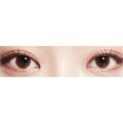 Precollege Brown 13.2mm Precollege Brown 13.2mm