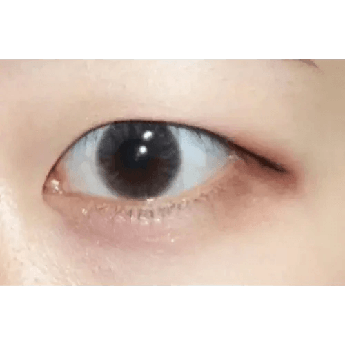 LensTown Precollege Gray — single-eye close-up showing the contact lens appearance