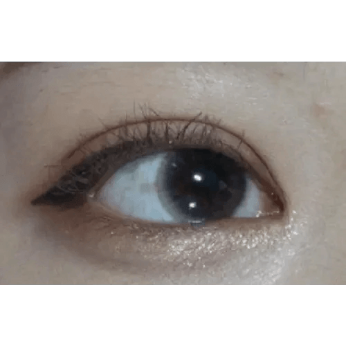 LensTown Precollege Gray — single-eye close-up showing the contact lens appearance