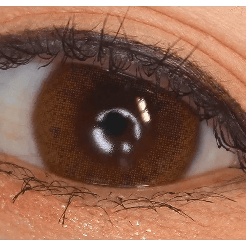 Rara Brown 13mm Rara Brown 13mm