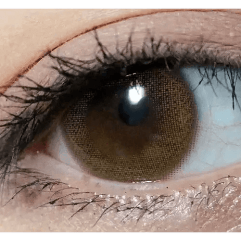 Rara Brown 13mm Rara Brown 13mm