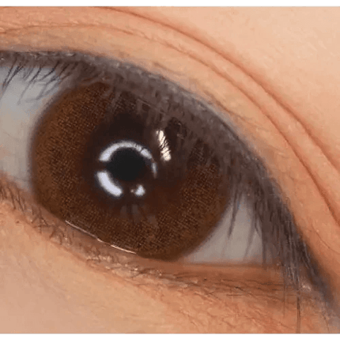 Rara Brown 13mm Rara Brown 13mm