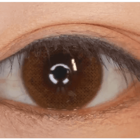 Rara Brown 13mm Rara Brown 13mm