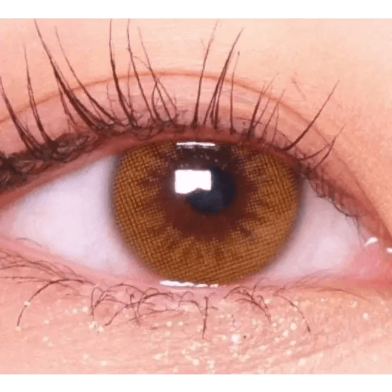 LensRang Real Brown — single-eye close-up showing the contact lens appearance