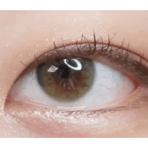 LensRang Real Khaki Green — single-eye close-up showing the contact lens appearance