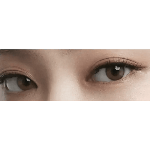 Real Ring 1Day Brown (20p) Real Ring 1Day Brown (20p)