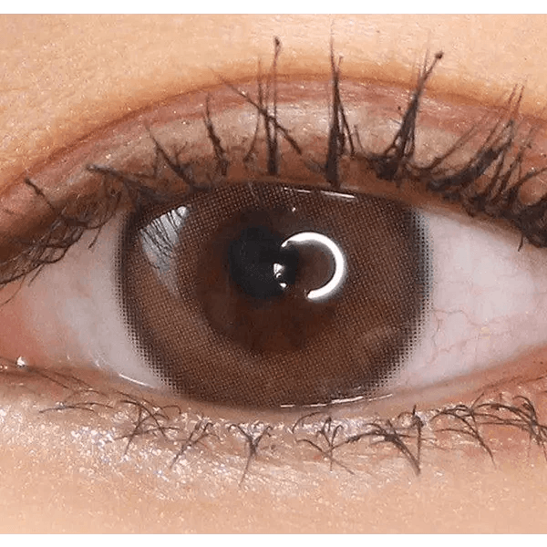 Olens Real Ring 1Day Brown (20p) colored contact lens, 12.5mm graphic diameter, Daily wear