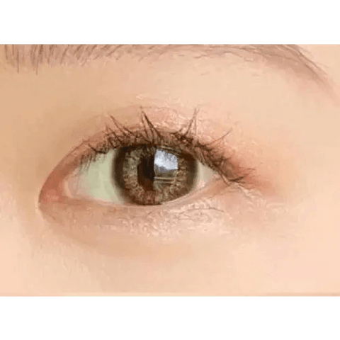 Renaissance Brown 13.5mm