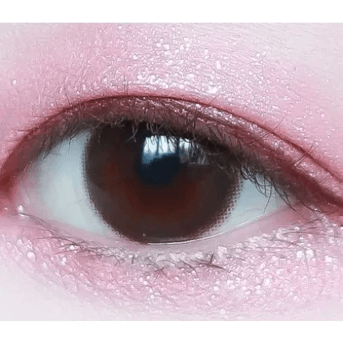 LensVery Rich Ann Cafe Choco (6p) — single-eye close-up showing the contact lens appearance