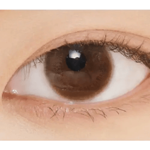 LensVery Rich Ann Cafe Choco (6p) — single-eye close-up showing the contact lens appearance