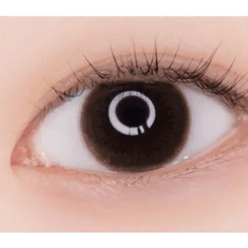 LensVery Rich Ann Cafe Choco (6p) — single-eye close-up showing the contact lens appearance