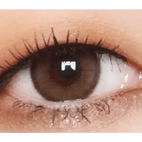 LensVery Rich Ann Indie Brown (6p) — single-eye close-up showing the contact lens appearance