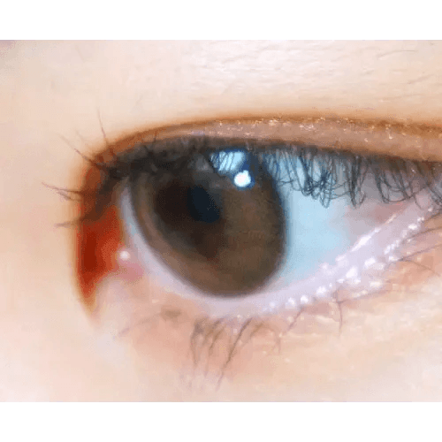 LensVery Rich Ann Indie Brown (6p) — single-eye close-up showing the contact lens appearance