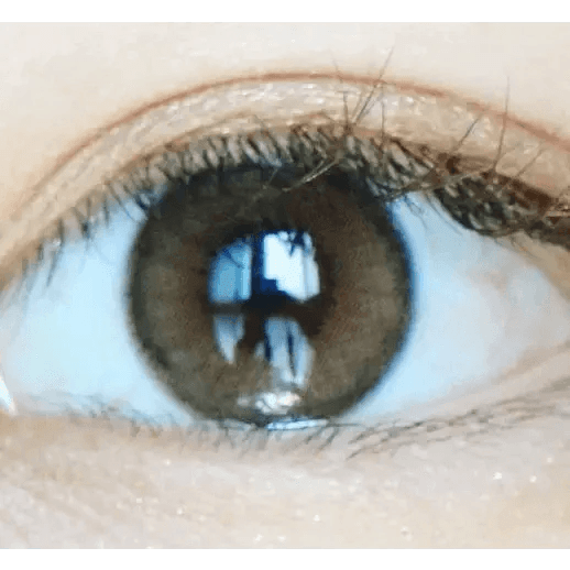 LensVery Rich Ann Indie Brown (6p) — single-eye close-up showing the contact lens appearance