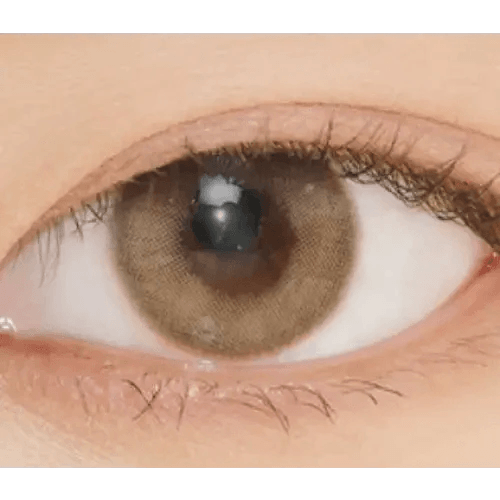 LensVery Rich Ann Indie Brown (6p) — single-eye close-up showing the contact lens appearance