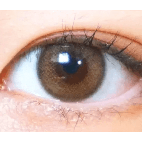 LensVery Rich Ann Indie Brown (6p) — single-eye close-up showing the contact lens appearance