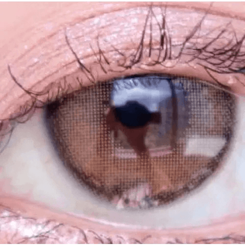 LensVery Rich Ann Indie Brown (6p) — single-eye close-up showing the contact lens appearance
