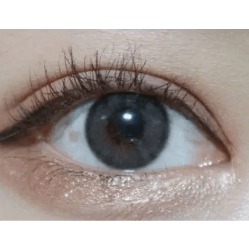 LensVery Rich Ann Indie Gray (6p) — single-eye close-up showing the contact lens appearance
