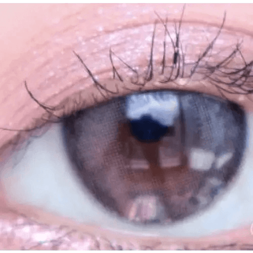 LensVery Rich Ann Indie Gray (6p) — single-eye close-up showing the contact lens appearance