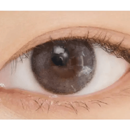 LensVery Rich Ann Indie Gray (6p) — single-eye close-up showing the contact lens appearance