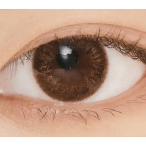 Rich Ann Jenny Brown 13.3mm (6p) Rich Ann Jenny Brown 13.3mm (6p)