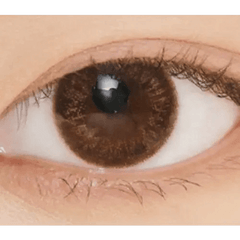 Rich Ann Jenny Brown 13.3mm (6p)