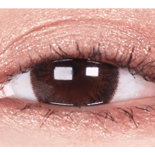 LensVery Rich Ann Jenny Brown (6p) — single-eye close-up showing the contact lens appearance