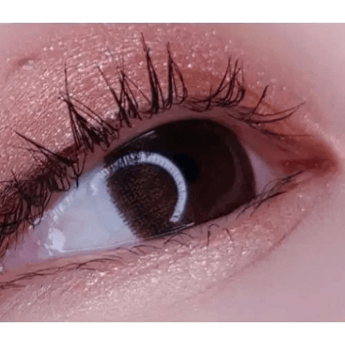 LensVery Rich Ann Jenny Brown (6p) — single-eye close-up showing the contact lens appearance