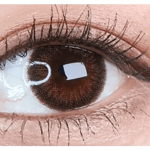 LensVery Rich Ann Jenny Brown (6p) — single-eye close-up showing the contact lens appearance