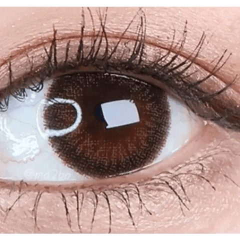 Rich Ann Jenny Brown 13.3mm (6p) Rich Ann Jenny Brown 13.3mm (6p)