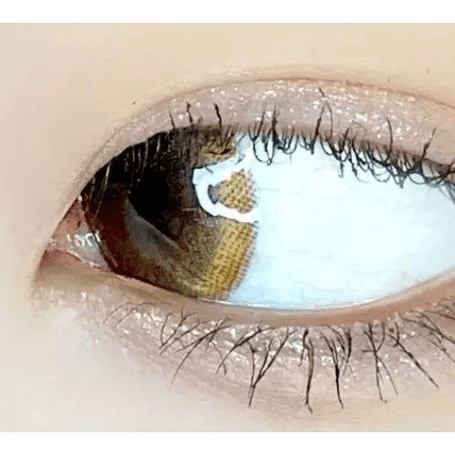 LensVery Rich Ann Latte Brown (6p) — single-eye close-up showing the contact lens appearance